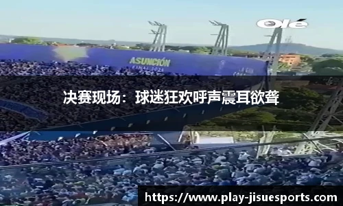 决赛现场：球迷狂欢呼声震耳欲聋